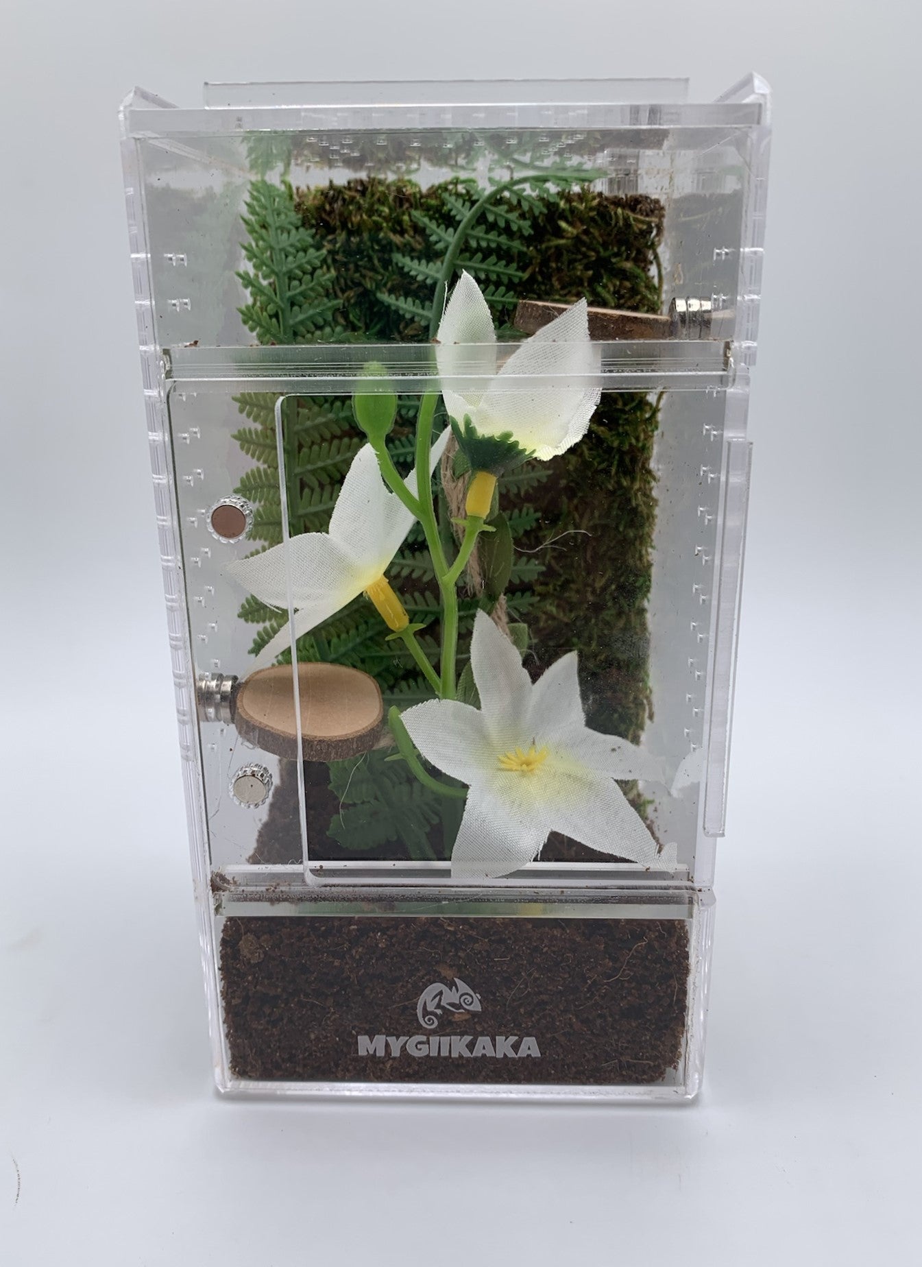 Jumping Spider Kit | Basic & Deluxe