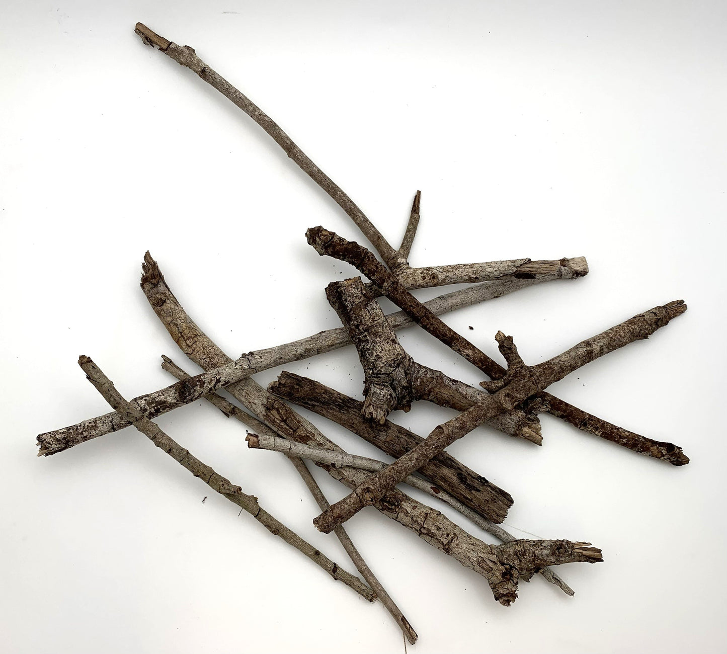 Oak Twigs
