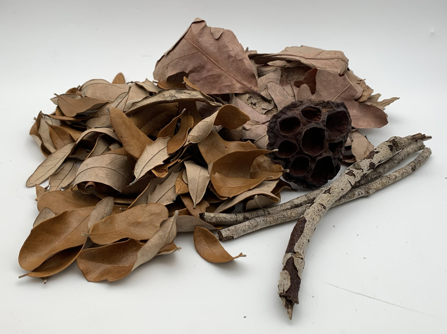 Botanical Variety Pack