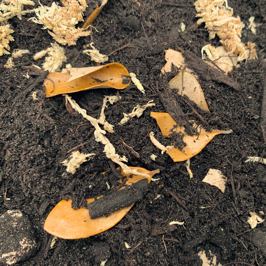 Millipede & Isopod Substrate