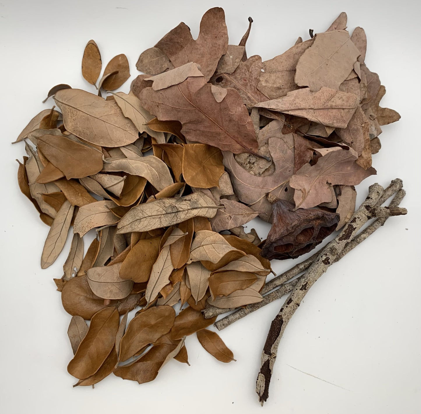 Botanical Variety Pack