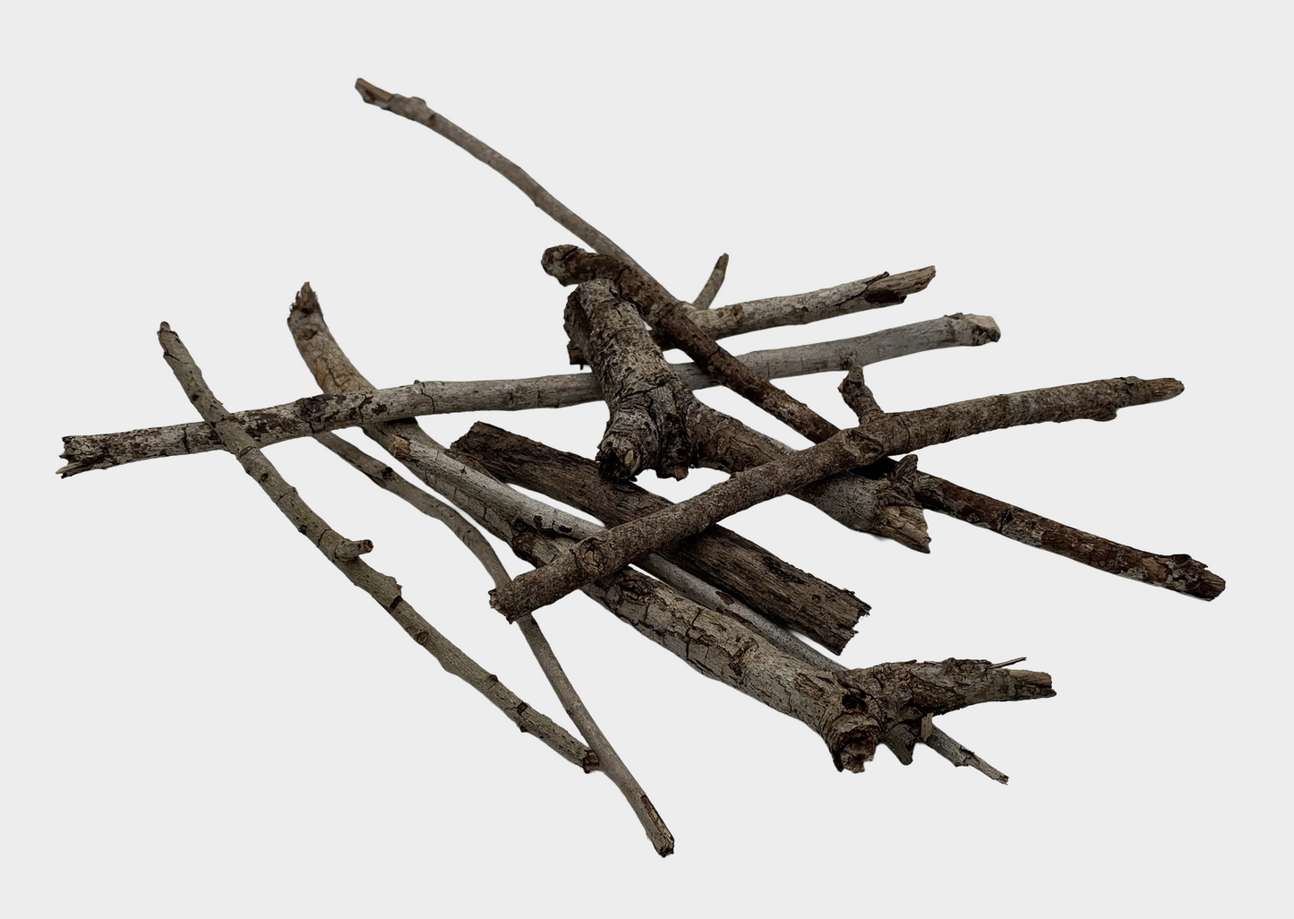 Oak Twigs