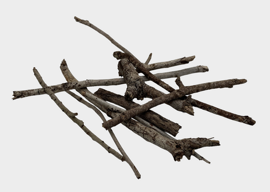 Oak Twigs