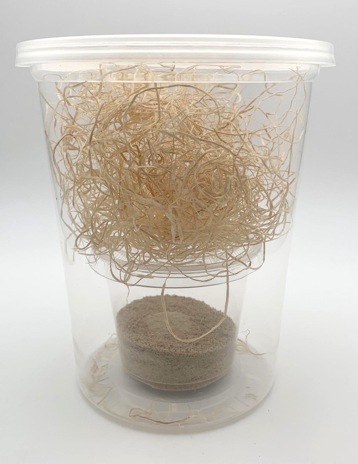 Make Your Own 32oz Fruit Fly Culture